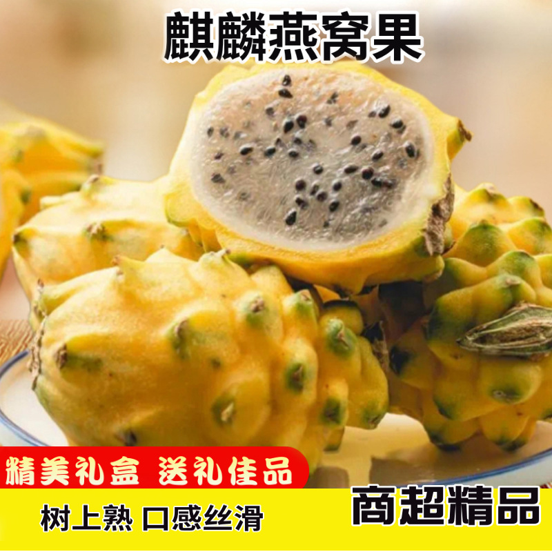 Bird's Nest Fruit Dragon Fruit Box Packed Edible Non-Pitaya Origin Direct Ship Gift Box Free Shipping SF Tropical Sweet