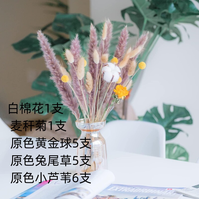アマゾンはよく売れています。葦の花の花束です。|undefined