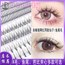 �W�t����ë�ٽ�ë����޽ӆδ؆θ����b�Լ�����Ů�۽�ë