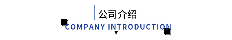 公司介绍