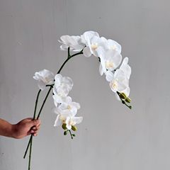模擬感触胡蝶蘭シングルハイエンド装飾品白造花フィルム結婚式ホームソフト装飾フラワーアレンジメント