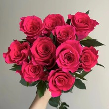 �߄ٸ�ʢõ�tɫ�����������õ����خa�����ֱ�l�Fժ�r�����]