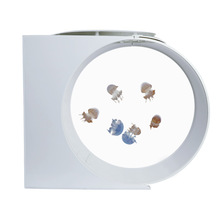 SֱNl25Iˮĸ~B~׾Wt[ˮĸ