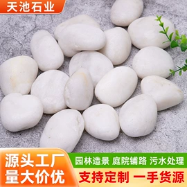 沙石砾石;其他非金属;景观石