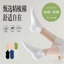 2026���Ŀɫ��Ͳ�W���m��Ů͸�����m�W���m�\���ܲ����m