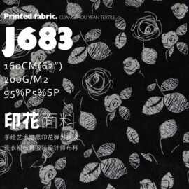 手绘艺术暗黑印花弹力丝绒面料连衣裙布景服装设计师布料J683