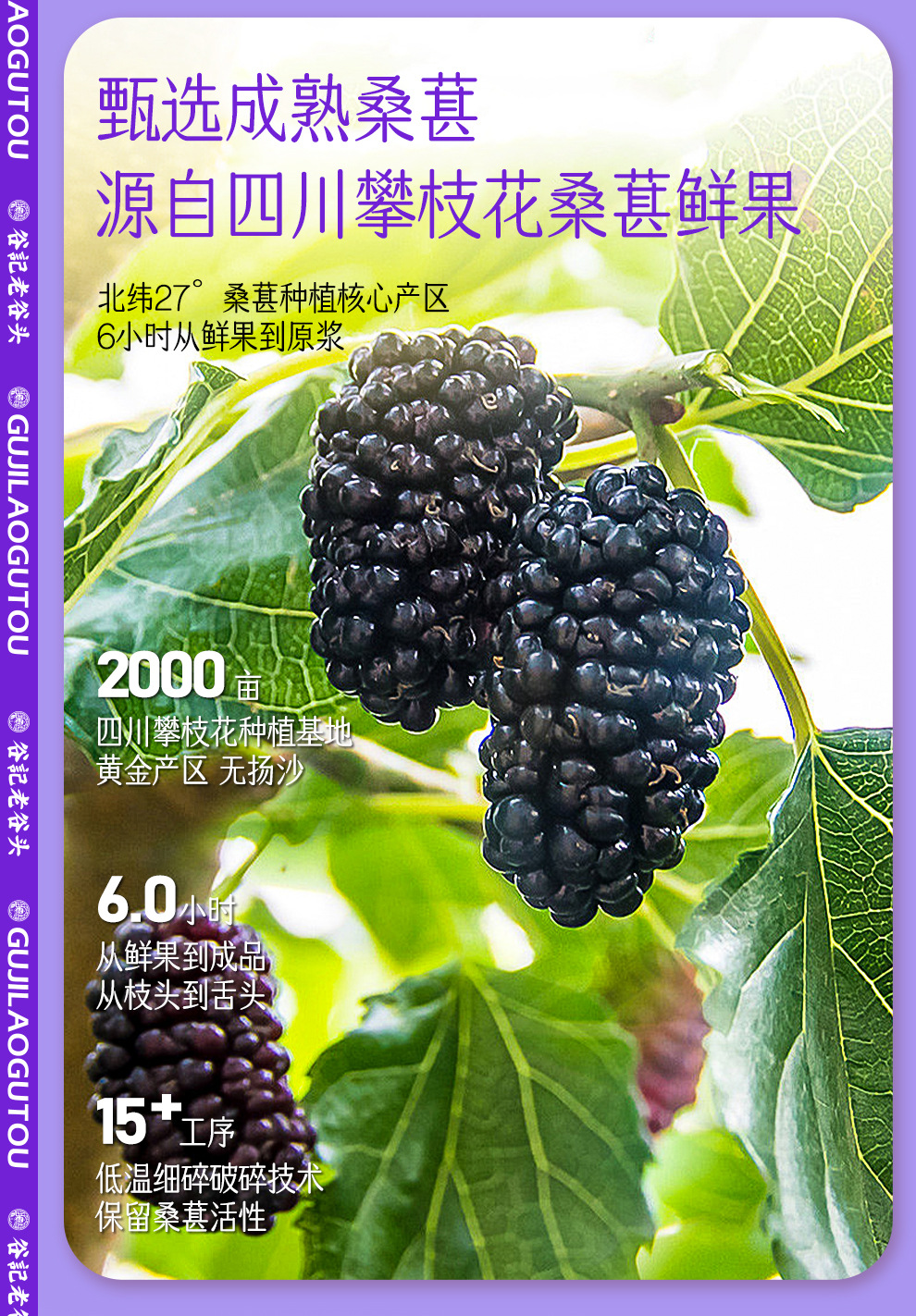 Black Goji Berry Mulberry NFC Juice Drink 500ml Ready to Drink Herbal Beverage quality and texture