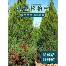 �ؘ���������ɘ����Ȱر���ɘ������ļ������A�Ɍ����ɹ�����