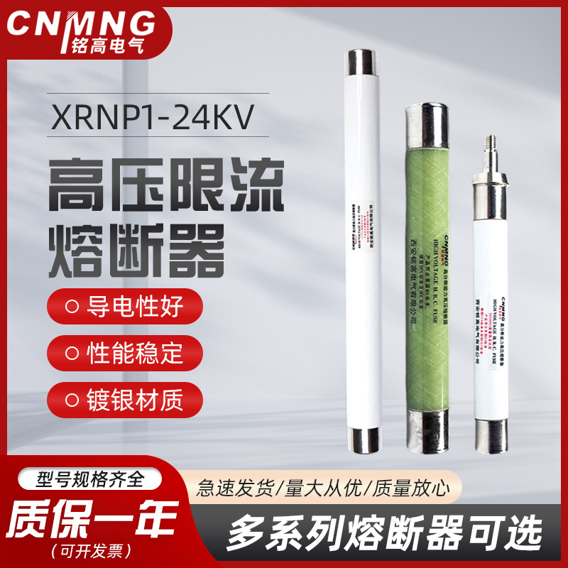 XRNP-24/0.5-2A高压限流熔断器互感器PT保险管高压保险管25*325mm