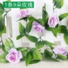 9 rose vine shallow purple