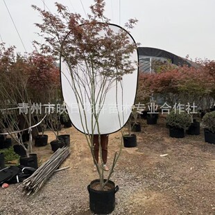 �t���侰�^��������l�ΗU���U�t�������t���t�輧���RͥԺ���~��