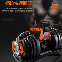 R1Y���{�������Ůʿ���ý����������b������z��⏆�⏿��{����