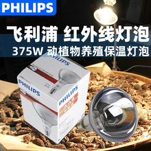 �w����375W�t�⾀���� E27����濾����l�C�ӟ�ʳƷ���؟���375w