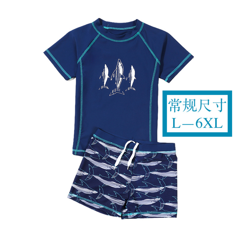 Children's Swimsuit Boys' Two-Piece Professional Swimwear for Older Boys 2025 Swim Trunks and Swimsuit Set High Elasticity