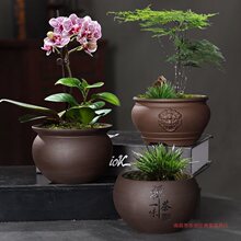 菖蒲紫砂花盆多肉陶瓷复古室内文竹桌面兰栽拇指景厂家批发跨境