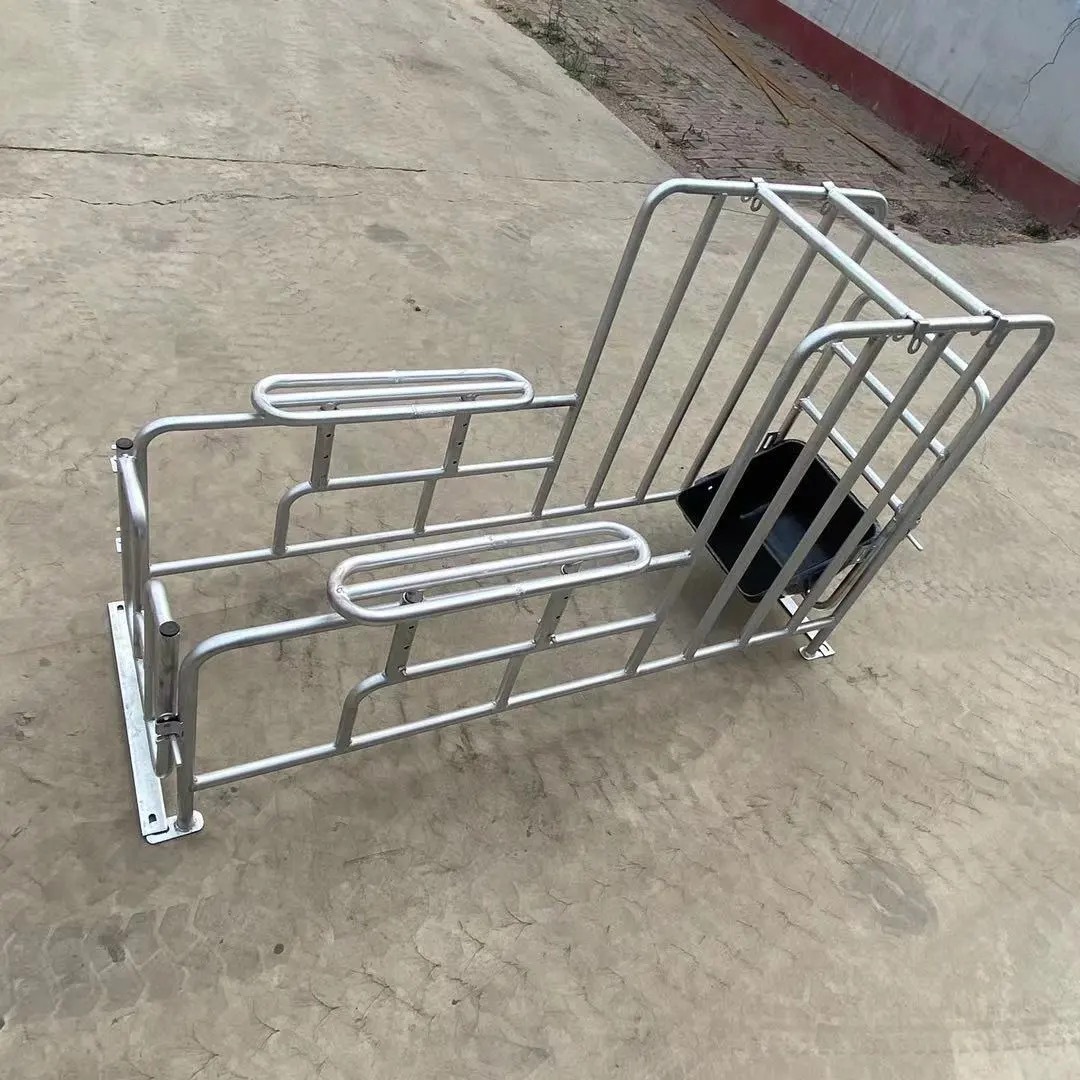 Rack de semilla de cerdas elevación rack de semilla de cerdo pie bajo rack de semilla de suelo galvanizado en caliente soporte de recolección de semilla