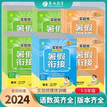 24新春雨实验班提优训练暑假衔接暑假作业教材同步预习升学考试书