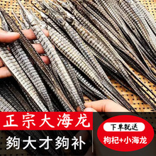 �������Ǻ����ɻ��ݾ�������ʳ�������̲�������ҩ�Ĺ�ĸ�������