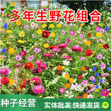 ˹ջѸɣN߲ļ_׻ͥԺҰMϻNӴȫ