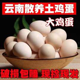 土鸡蛋农家散养鲜鸡蛋云南高原散养土鸡蛋本地农家鸡蛋20枚40-60g