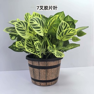 ����Gֲ����ֲ��ݾG�}�����~�ȼ����~���l�͏d�Gֲ�b��҃��b�