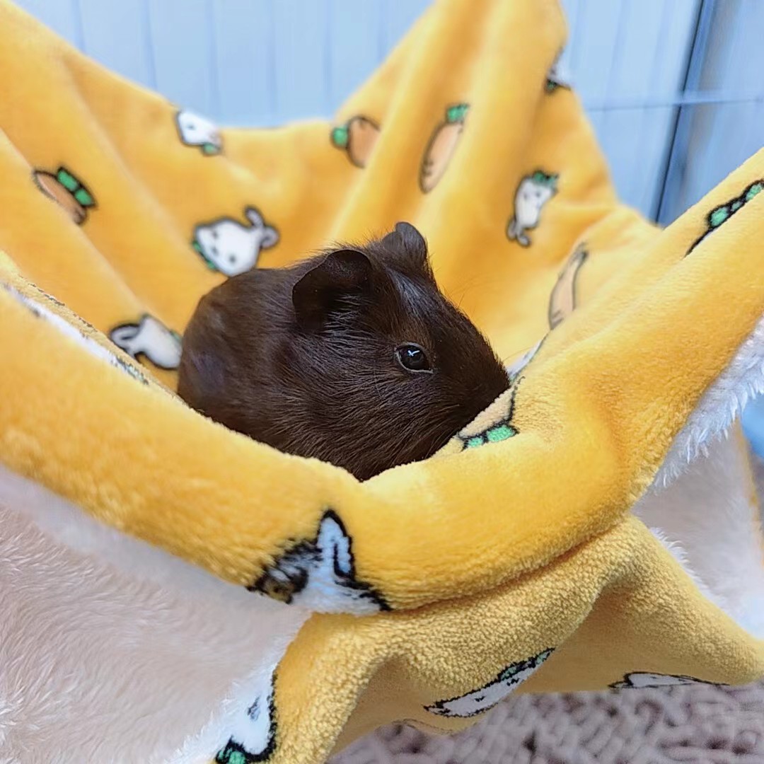 微信图片_20231214141929