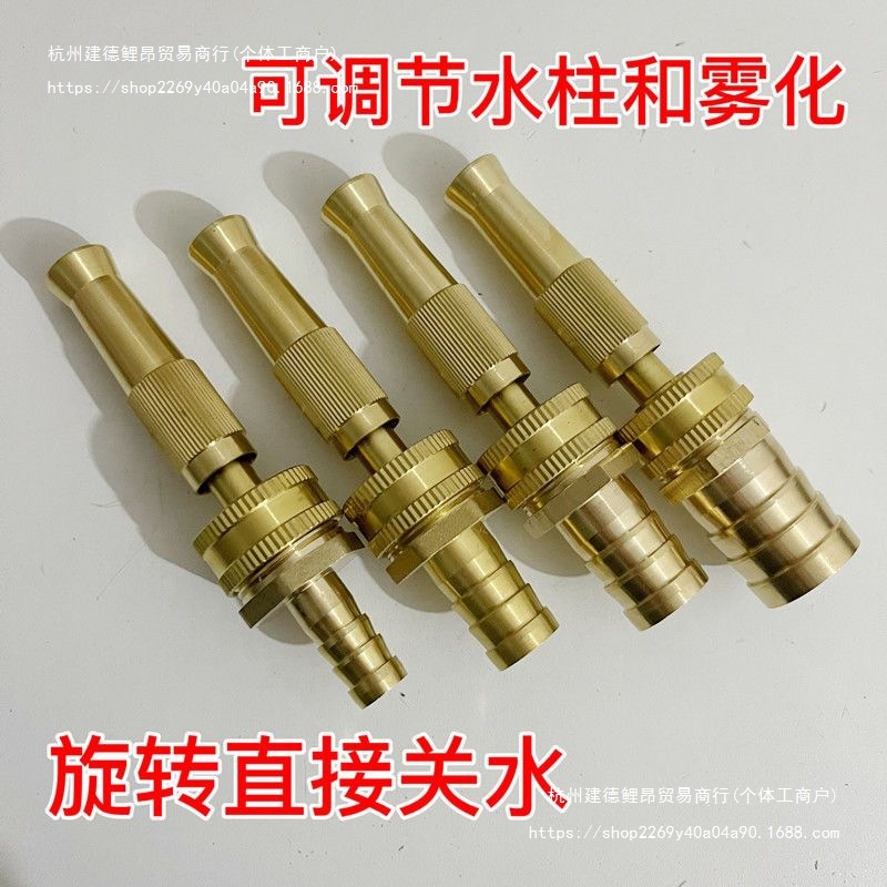 高压洗车水枪家用套装纯铜直喷枪浇花工具四季软管冲洗地工具汽车