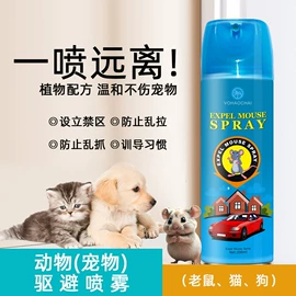 清洗/养护剂;车釉车漆镀膜;鞋套、鞋刷