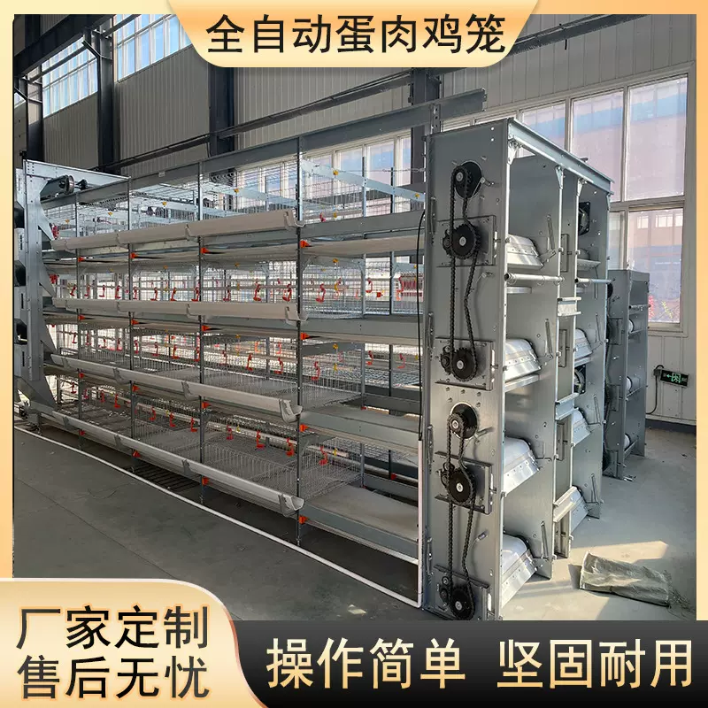 生产厂家全自动肉鸡笼镀锌肉鸡笼鸡笼子大型鸡场自动化养殖设备