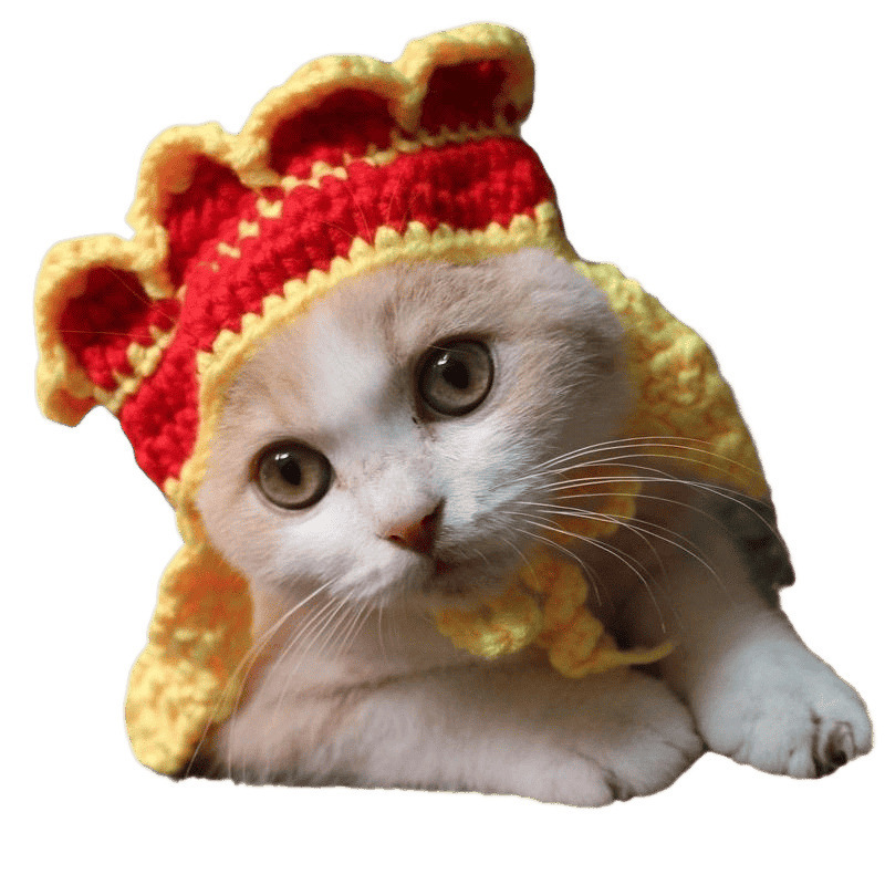 宠物头套猫咪狗狗编织帽子道具头饰搞笑变身服批发|undefined
