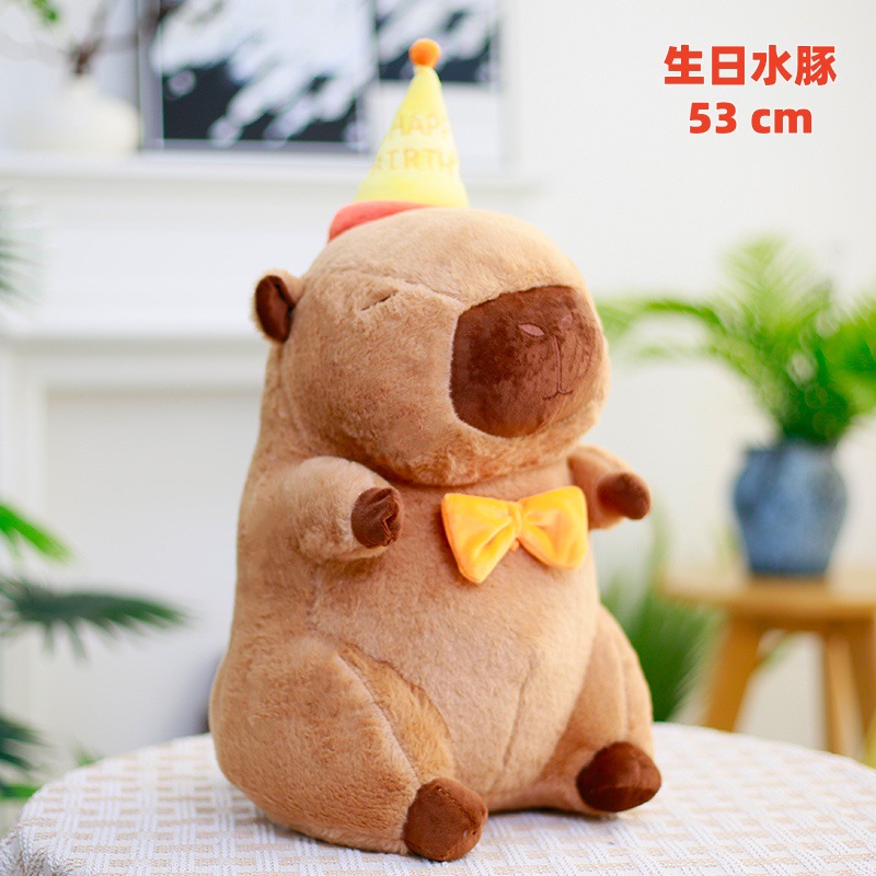 생일 카피바라 53cm
