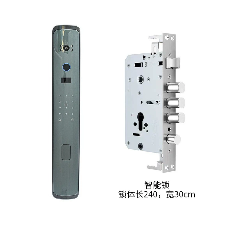Электронный Bluetooth умный замок с отпечатком и кодом, выдающийся бренд Zhiyun, полностью автоматический домашний интеллектуальный замок