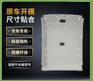 Great Wall Wind骏/Cannon avtomobil tavan astarı təmiri