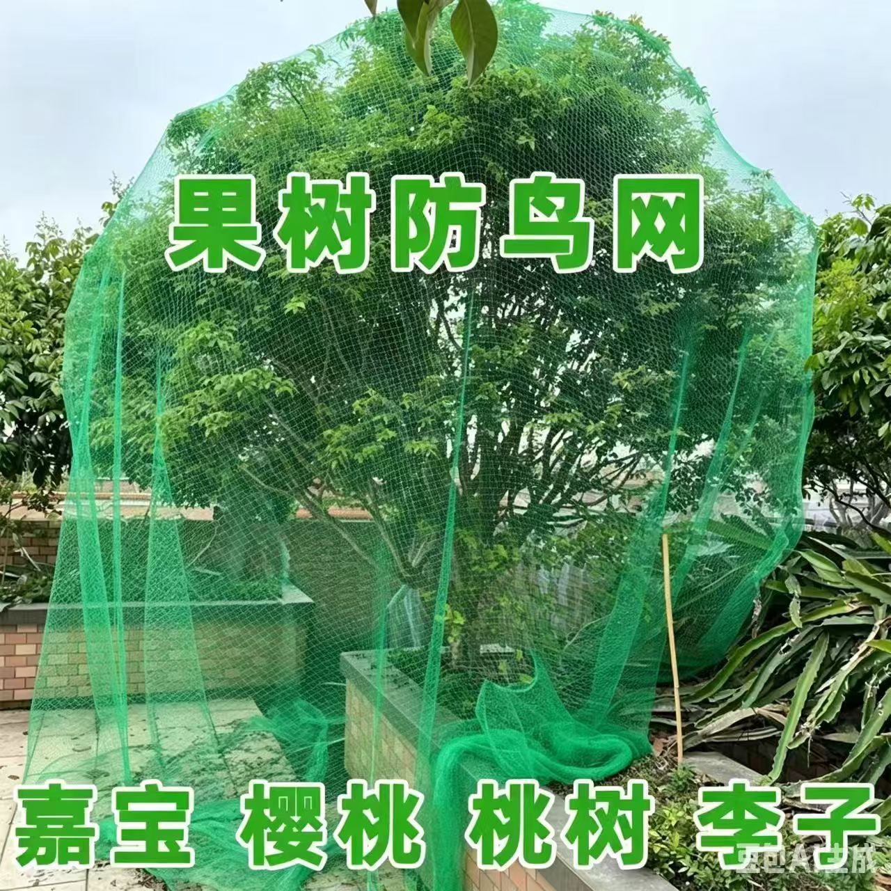 果树防鸟防护网樱桃树嘉宝树防鸟罩蓝莓专用尼龙防护网跨境