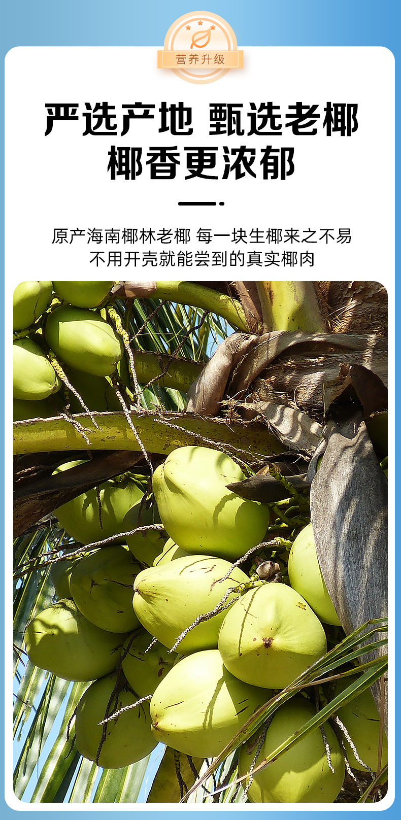椰子脆块脆片即食原味香烤椰果椰子角海南特产椰子肉烘培休闲零食-阿里巴巴