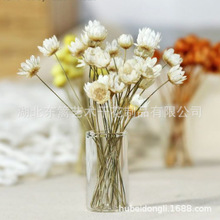 ���Ǿ�����z�ڼt��������С�滨С�ɻ����l����