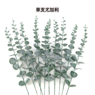 �羳�����֧�ȼ�����ɫ���X�~��������~�廨�bGֲ�ٻ�ֲ��G