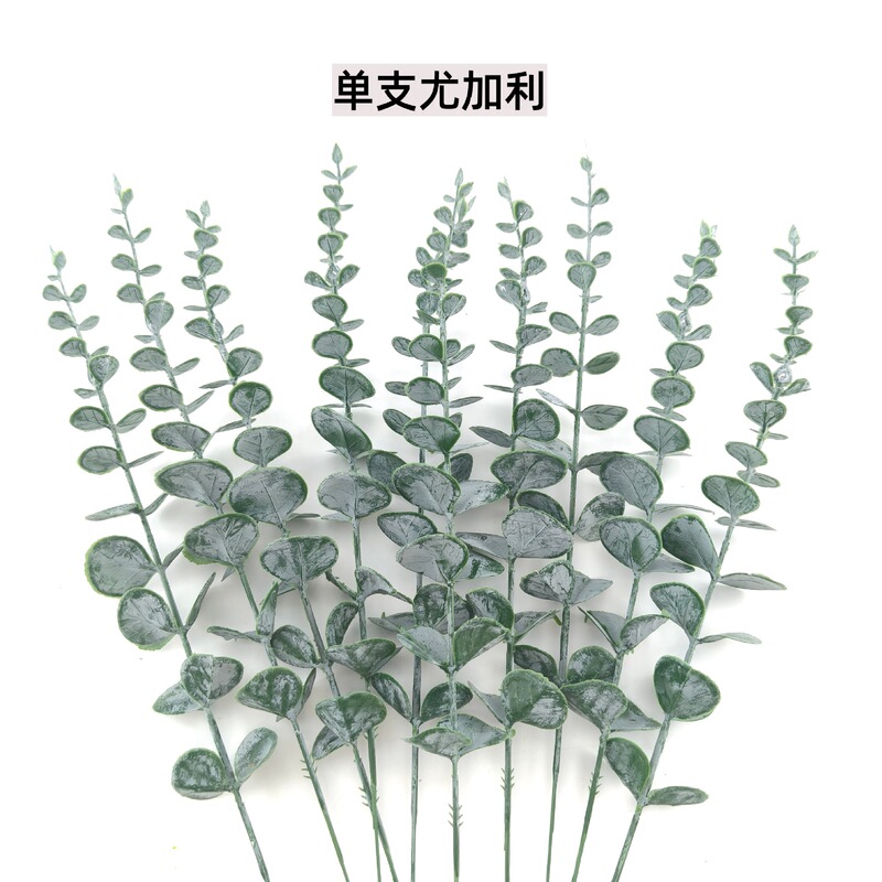 Cross-Border Artificial Single Stem Eucalyptus Black Money Leaf Artificial Eucalyptus Leaf Flower Arrangement Decoration Green Plant Fake Flower Plant Green Cross-Border Artificial Single Stem Eucalyptus Black Money Leaf Artificial Eucalyptus Leaf Flower Arrangement Decoration Green Plant Fake Flower Plant Green