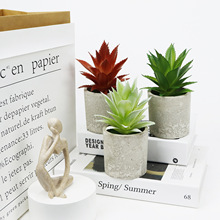 �¿�������A�����{���ԽM�� �����b[������Gֲ����С�辰