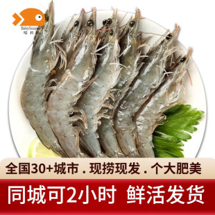 ���͝O�r����r �����r ���r�r��l؛�����r� ���rˮ�a ����r��