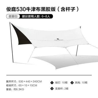 Avtomobil yan çətirləri Outdoor Camping Rainproof Awning Light - high-cost-performance-530-vinyl-oxford-cloth-morning-mist-white-including-pole-reference-details-page