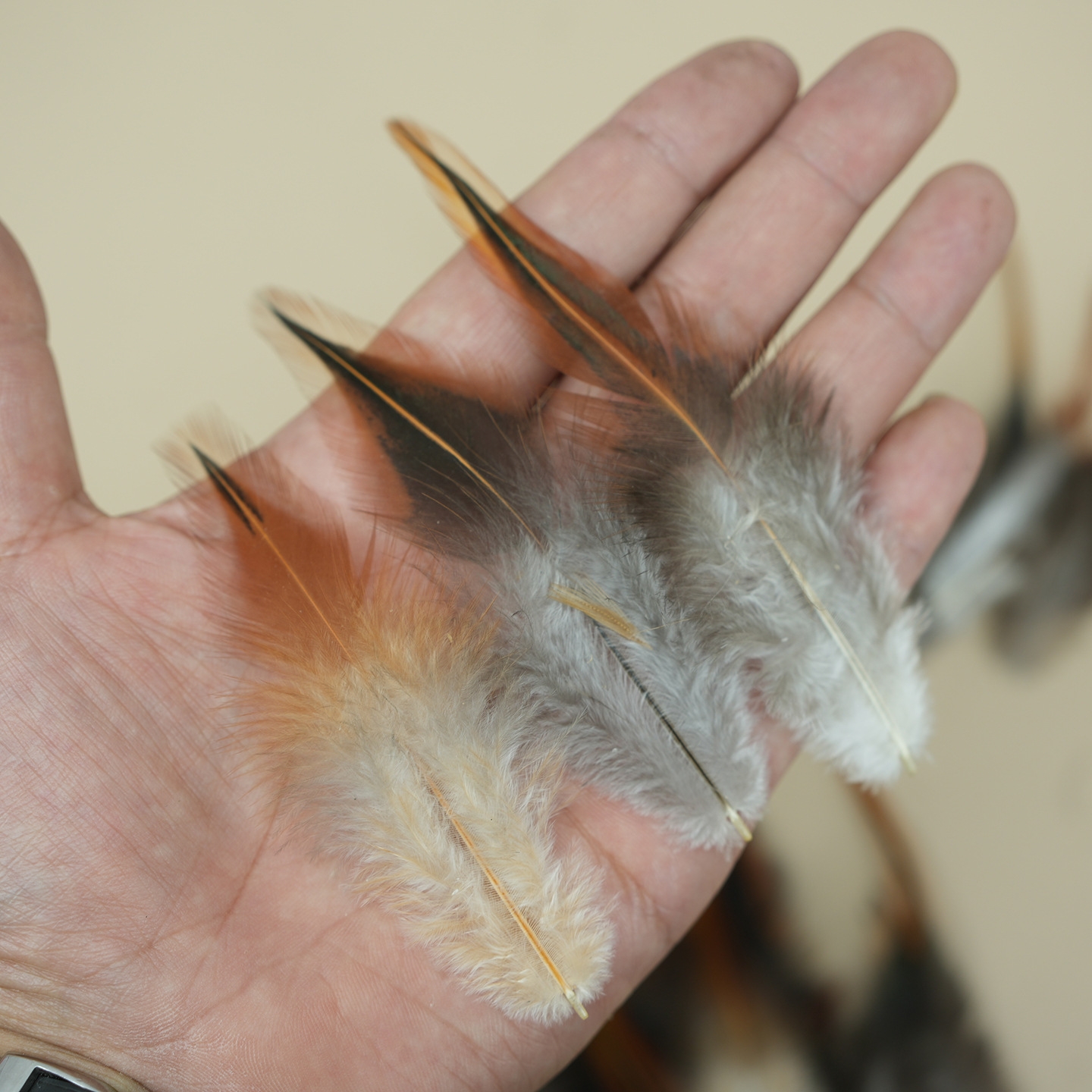 Fábrica al por mayor de bricolaje plumas pequeñas plumas naturales plumas de pollo salvaje plumas de pato jardín de infantes joyas hechas a mano gato divertido material de captura de sueños
