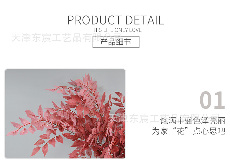 详情_09.png