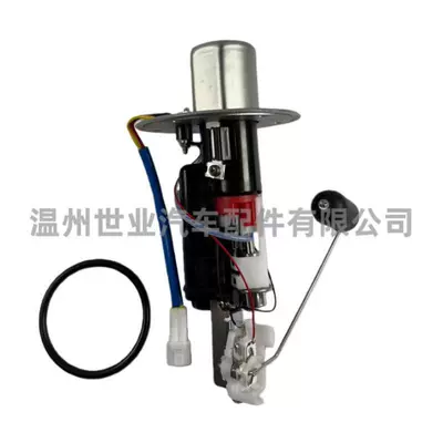 Source Factory Spot Fuel Pump Assembly 15100-41g00 Suitable for Suzuki Gsxr1000200 (Oil pump, nozzle)
