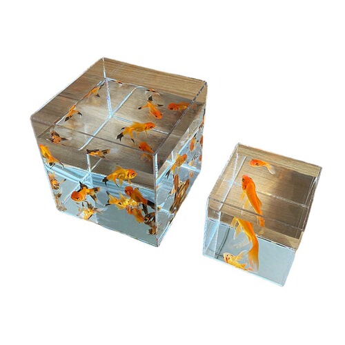 Isolation box small white betta display rack multi-grid desktop creative small fish tank ecological tank acrylic plate turtle