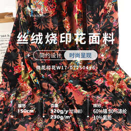 230G丝绒烧印花面料50D秋冬弹力韩国不倒绒 锦涤时尚礼服旗袍布料