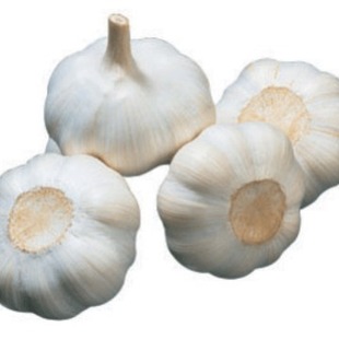 �����ṩ���� �S��ֱ�N ���� �t�� �gӭ������ُ