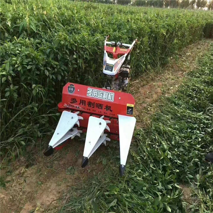 省力牧草收割机 自走式薄荷甜叶菊收割机 低茬甜野菊割晒机