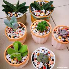 ��Ȼ��ʻ�ʯ��ʯ�Ӷ�������~���쾰���軨�d���b�ͥԺ�·�b�