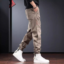 �߼��й��bѝ�����＾�������_ѝ����ɫƦ���ذ��������ʿ���eѝ